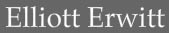 Elliot Erwitt - Fotografía